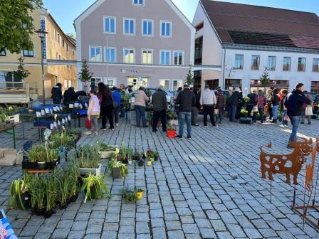 Pflanzenflohmarkt 2024 Pflanzenflohmarkt 2024